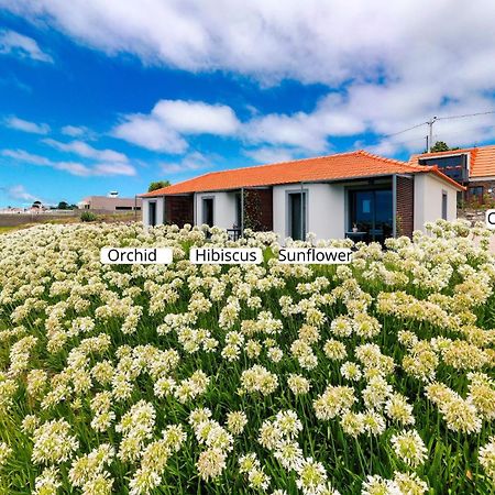 Appartement Ourmadeira - Quinta Inacia, Countryside Escape à Calheta  Extérieur photo