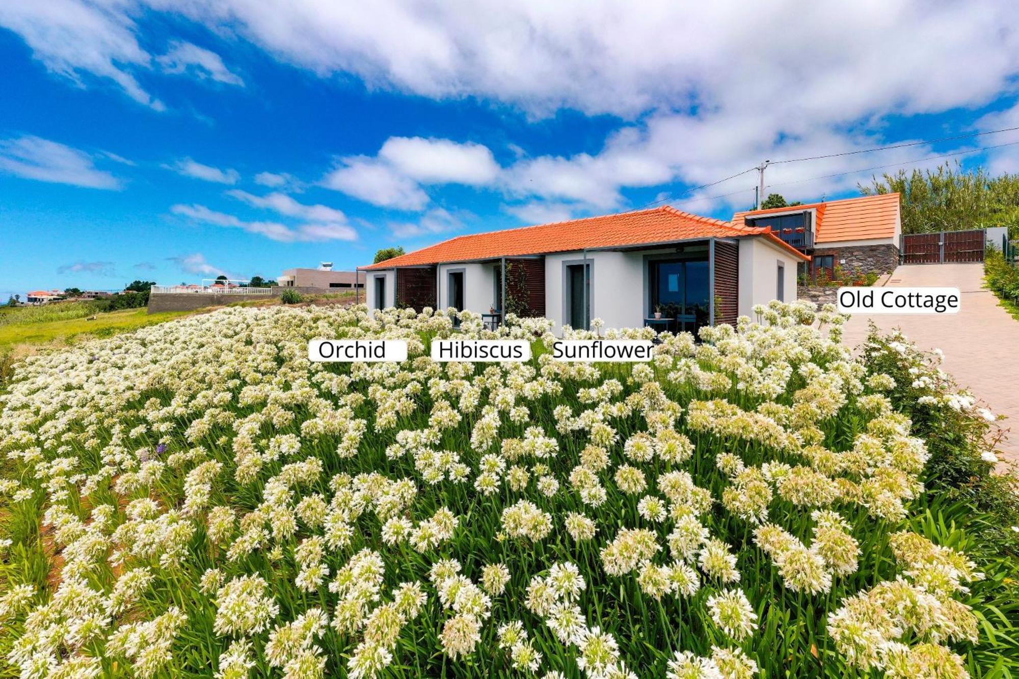 Appartement Ourmadeira - Quinta Inacia, Countryside Escape à Calheta  Extérieur photo